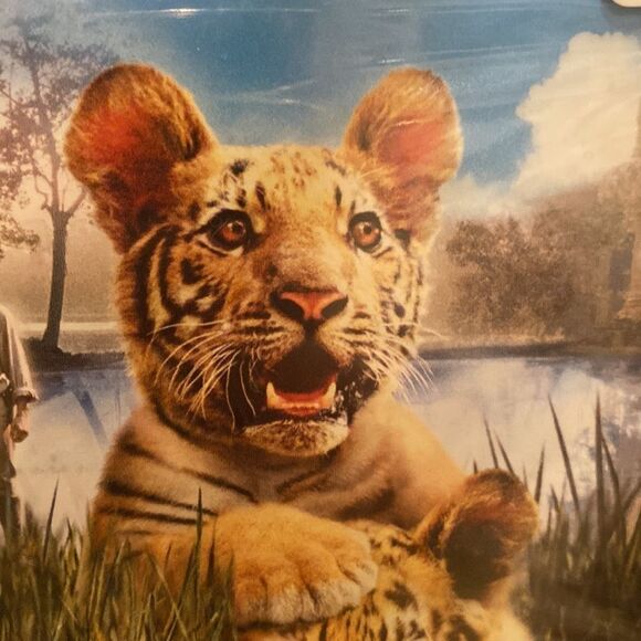 🍿3/$15 DVD Two Brothers The Best Family Film of the Year PG Widescreen - Picture 10 of 12